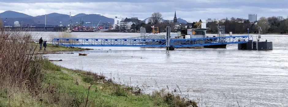 Niederkassel: Weihnachtshochwasser am Rhein