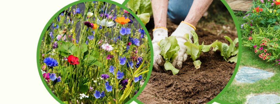 Offene Gartenpforte 2025: Jetzt anmelden und Gäste in Ihr Gartenparadies einladen!