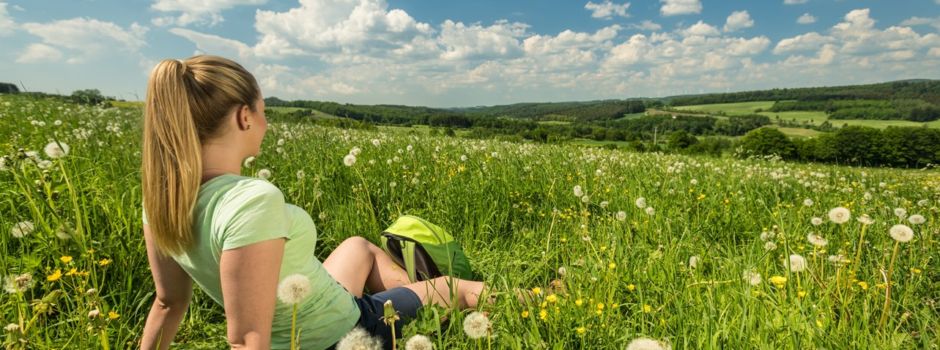 Die Hachenburger Löwenspuren