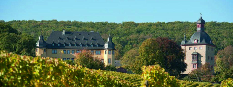 Wo ihr jetzt neue Rheingau-Rieslinge probieren könnt