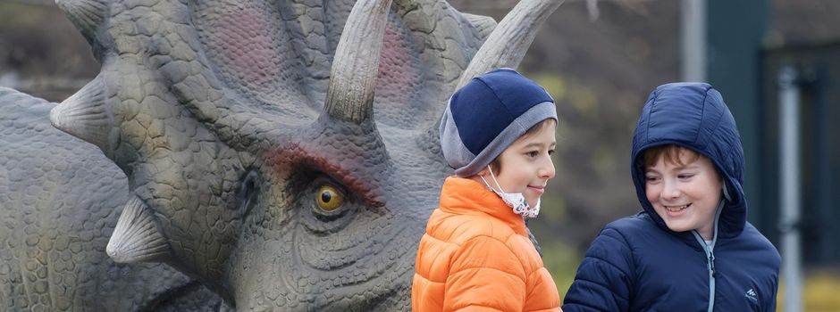 Landesfamilienpass 2026