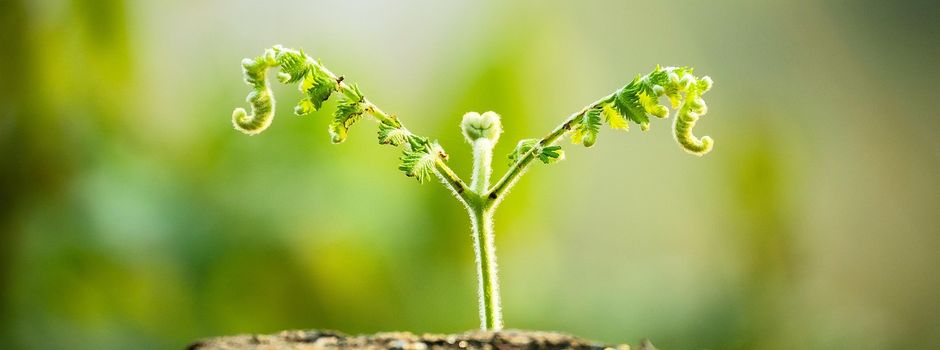 Vorstellung Projekt Nr. 6 "Wir sind Vielfalt – Interkulturelles Lern- und Gestaltungsprojekt"