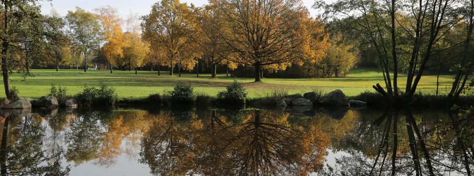 Bewegungsspaziergang im Park