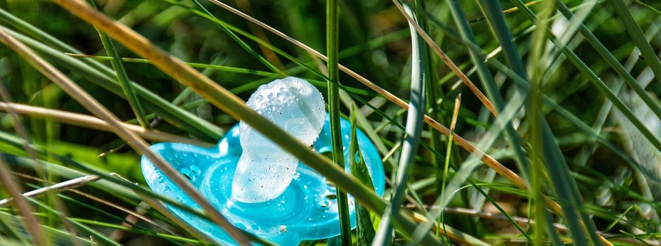 Die Krabbelgruppe trifft sich wieder