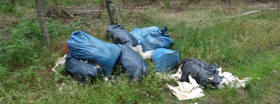 Illegal Abfall im Wald entsorgt