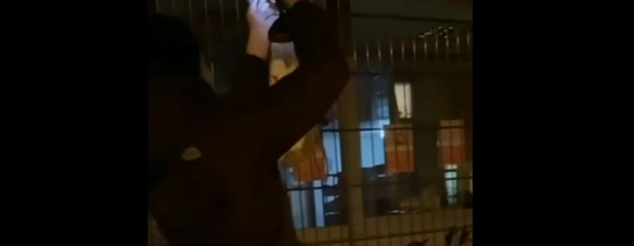 Unbekannte öffnen „Vertreibungszaun“ und veröffentlichen Bekennervideo