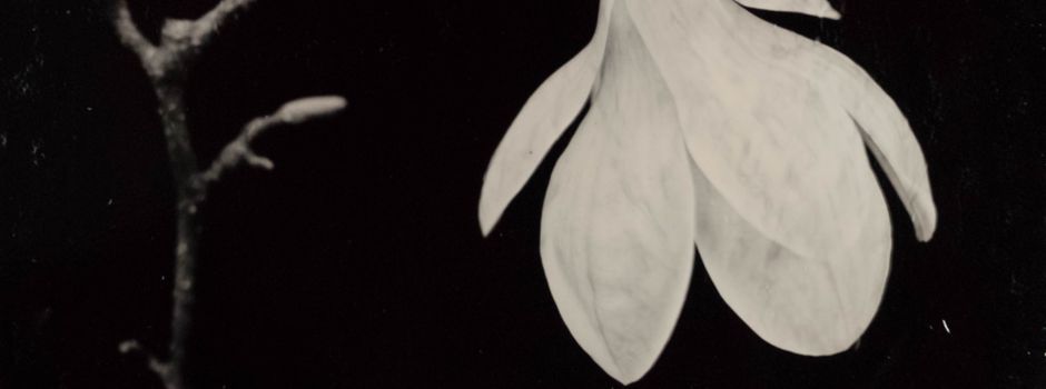 Ausstellung "Die Stille in dir" mit faszinierenden Fotografien