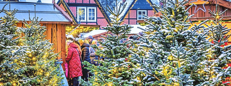Stadt Soltau sucht Aussteller