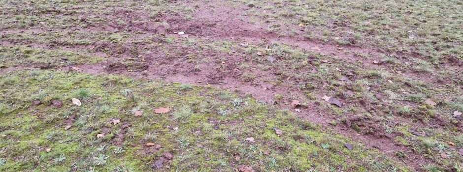 Vandalismus und Müllentsorgung Sportplatz Steinebach