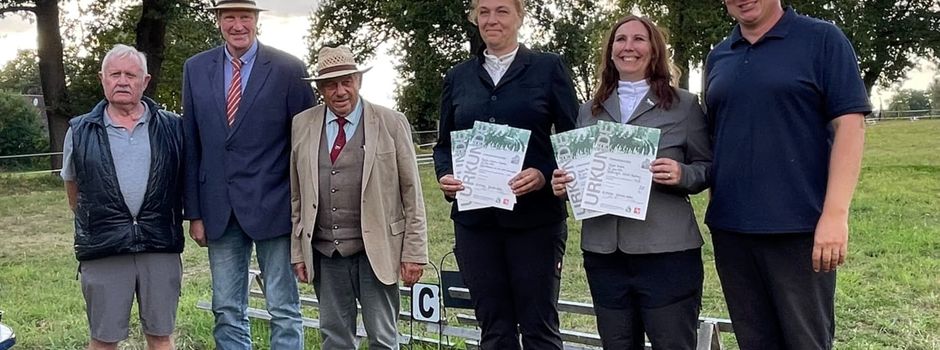 Premiere bei den Kutschen‑Freunden: Erstes 4‑Spänner‑Fahrabzeichen bestanden