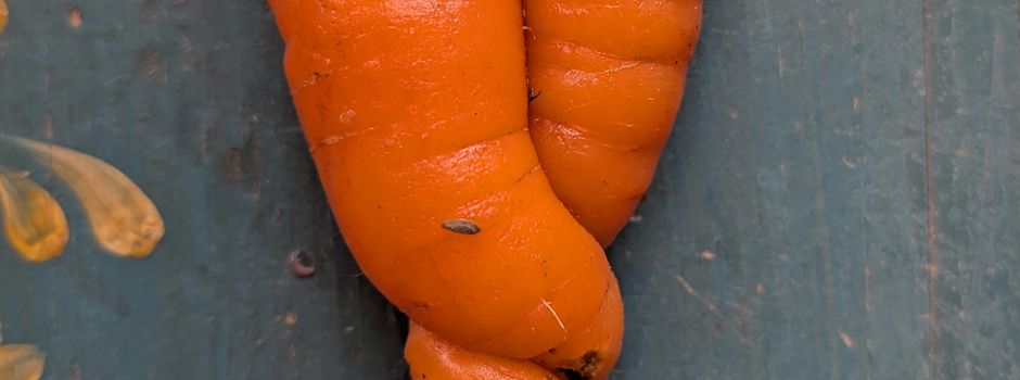 Solawi Germerode startet ins dritte Jahr