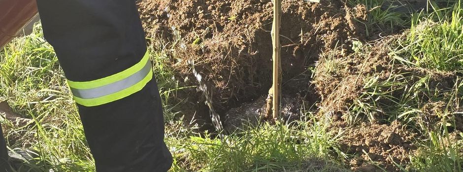 Teilnahme an der Baumpflanz Challenge 2025