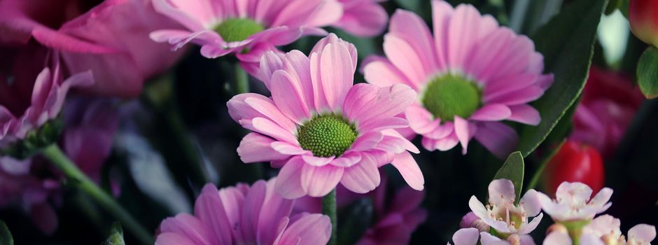 Dankeschön-Abend beim OGV Angfeld