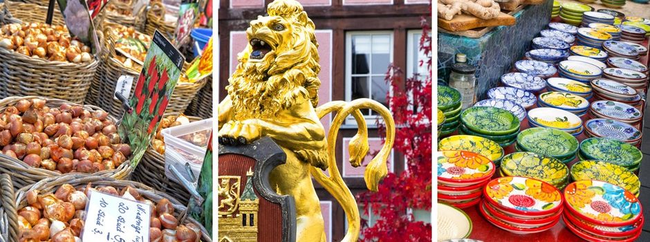 Parken am Katharinenmarkt 2025