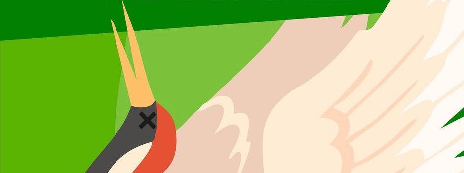 Vogelgrippe: Meldetelefon in unserem Ordnungsamt