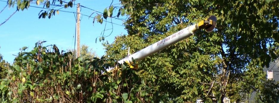 🌳 Notwendige Arbeiten