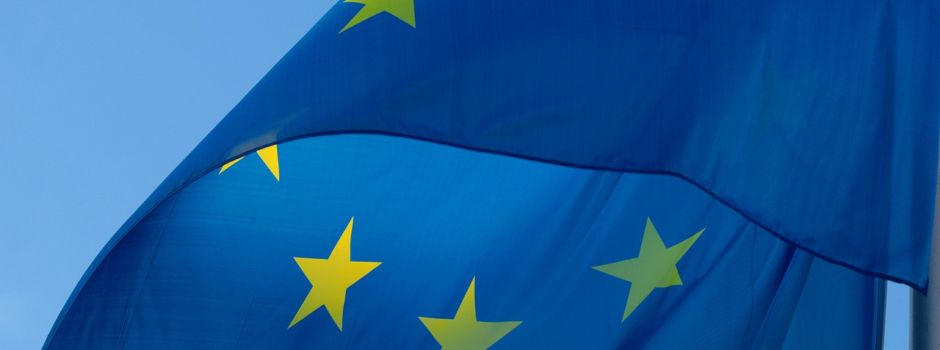 Europawahl in Mainz: So haben die Stadtteile gewählt