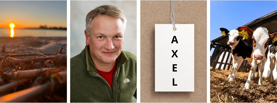 Aus Liebe zum Dorf: Axel Lamp