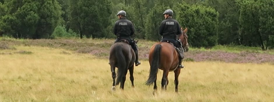 Polizeireiter in der Lüneburger Heide