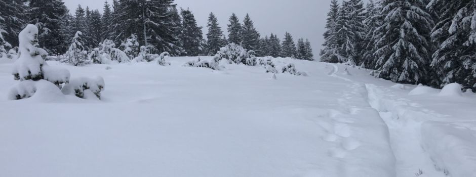 Schwarzwaldverein Dachsberg-Ibach e.V.