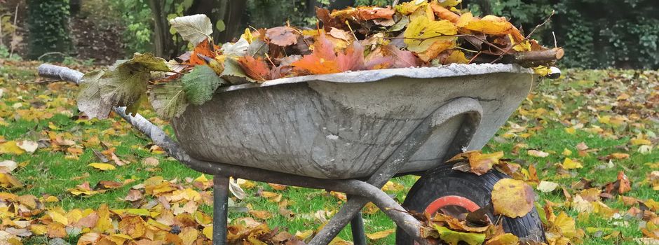 Der Garten im Herbst und Winter