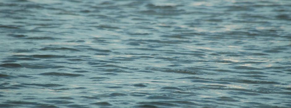 Rätsel um Wasserleiche gelöst: Toter stammt aus dem Kreis Neuwied