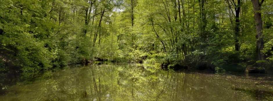 Biotopverbundplanung des GVV Meersburg