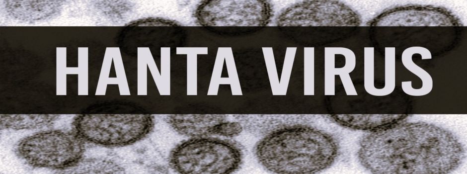 Achtung: Gefahr durch Hantavirus