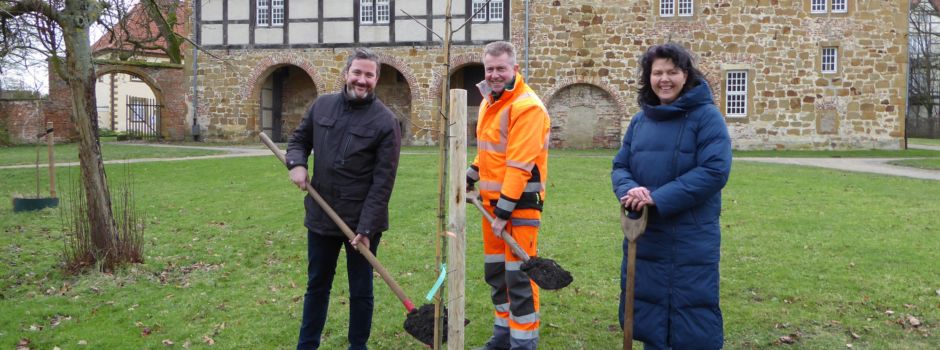 Neue alte Obstbäume in Herzebrock-Clarholz: „Herzebrocker Klosterbirne“ neu angepflanzt