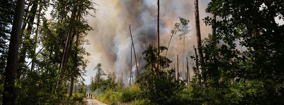 Waldbrand bei Munitionslager unter Kontrolle