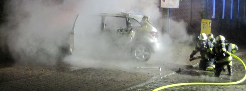 Umgestürzte Bäume, eingesperrte Person, brenndender Pkw und weitere Einsätze