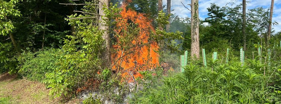 F1 - Einsatz der Freiwilligen Feuerwehr
