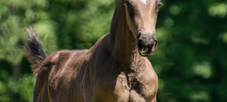 ✨Tag der offenen Tür 2025 ✨
