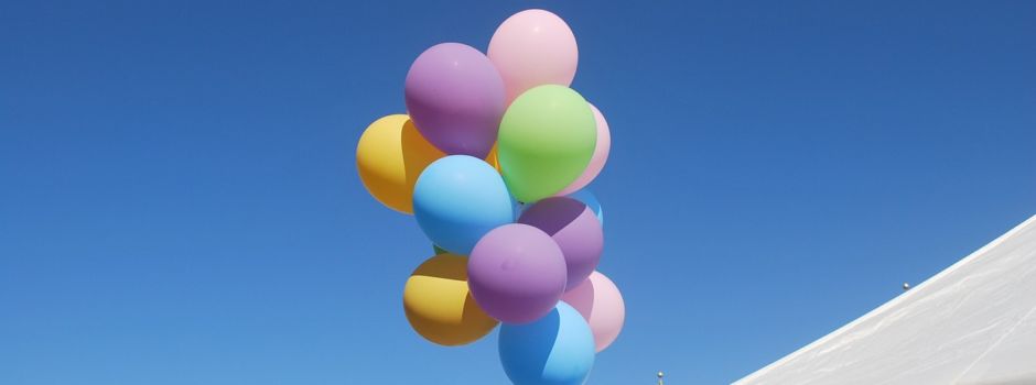 Sommerfest im Seegrasweg