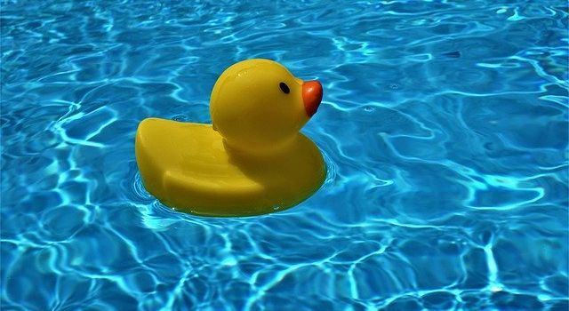 Baden den ganzen Tag: Im Fribbe, Familienbad und Bärenkeller