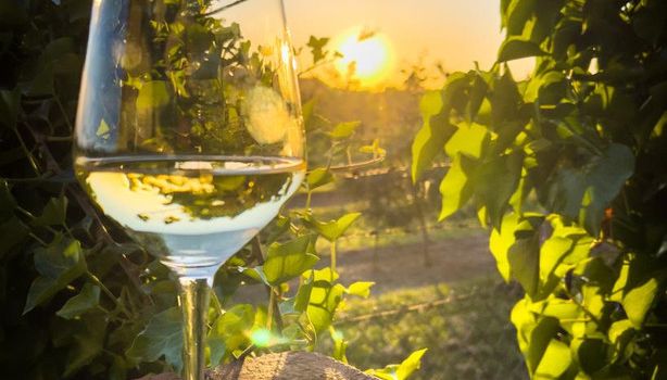 Fundraising-Weinprobe für junge Musiker in Kiedrich