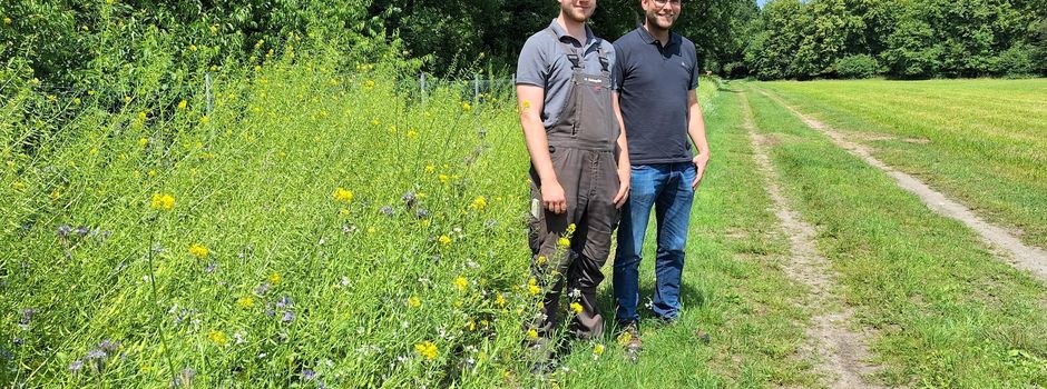Blühstreifen am Wasserwerk Quenhorn: Gemeinsames Projekt für mehr Artenvielfalt