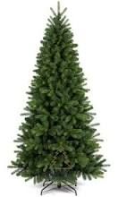 Weihnachtsbaum gesucht