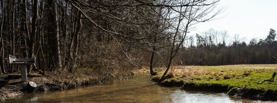 Stadtwald erleben – 9 Hallo-Tipps für Naturfreunde