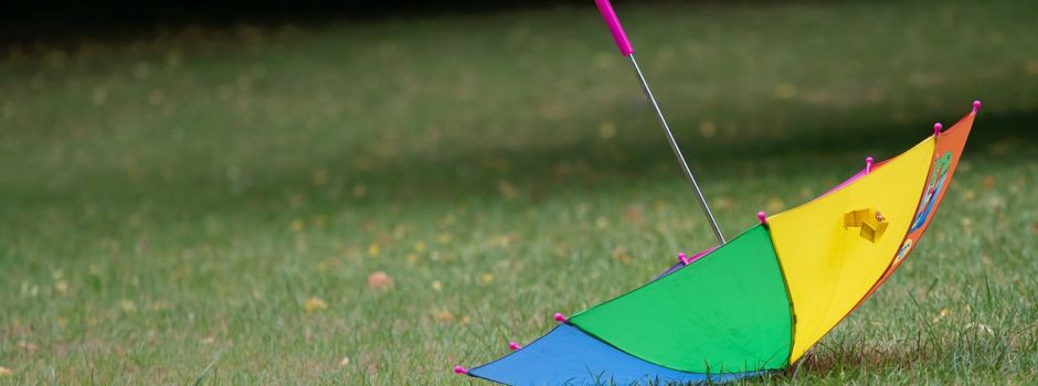 Verkehrsbehinderungen und Stromausfälle: Sturm-Bilanz im Westerwald