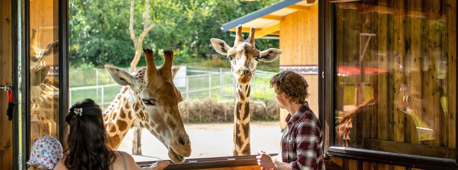 Ranking: Diese Tierparks rund um Koblenz gehören zu den beliebtesten in Deutschland
