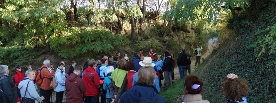 Faszination Alsheimer Hohlwege