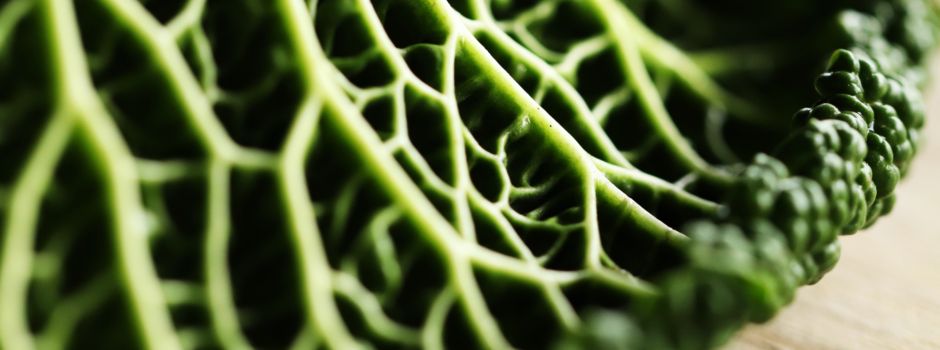 Heimische Superfoods – 7 regionale Vitaminbomben der Wintersaison