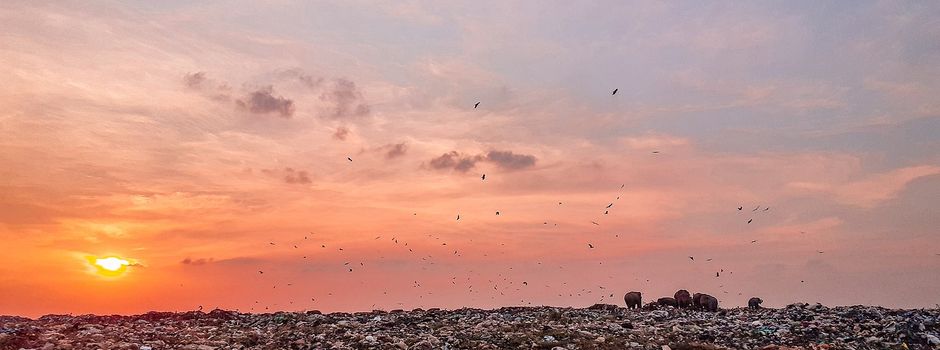Problemstoffsammlung