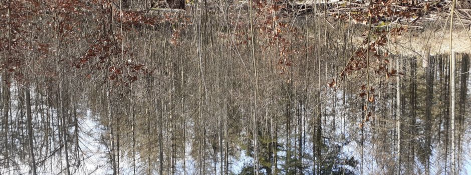 Spende für Naturschutz