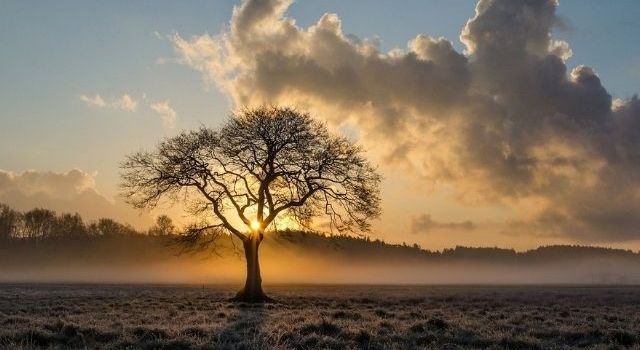 Gedenkfeier zum Volkstrauertag
