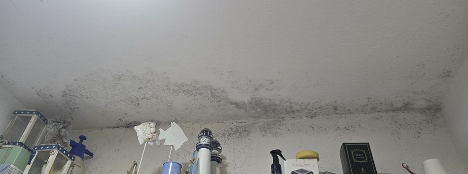 Mutter aus Mainz kämpft seit Jahren gegen Schimmel in ihrer Wohnung