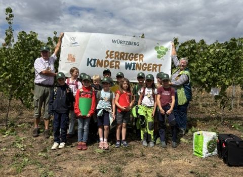 Kinderwingert: Die Trauben sind fast erntereif!
