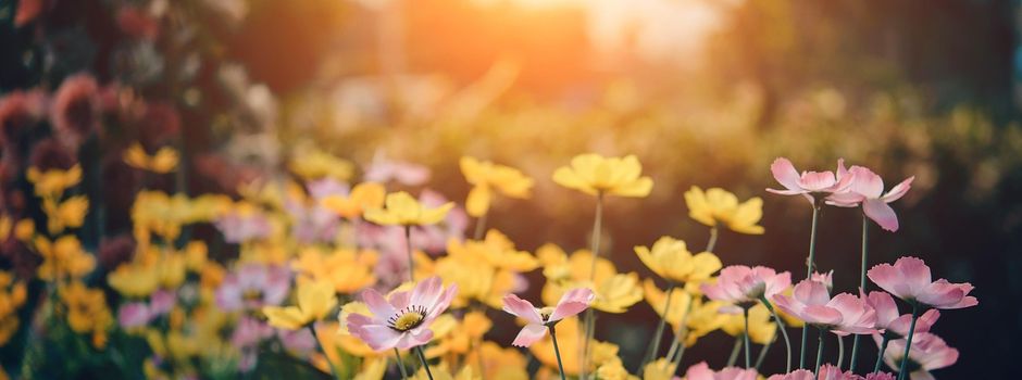 Grünflächenpaten für ein grünes Klein-Winternheim