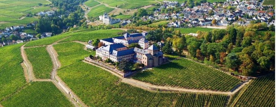 Rheingauer Weingut als zweitbestes der Welt ausgezeichnet
